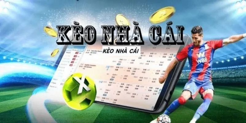 Thông tin chi tiết giúp bạn làm quen với kèo tại nhà cái Win55