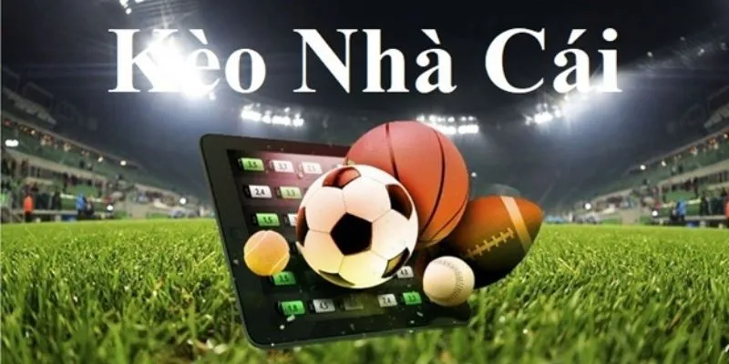Bảng tỷ lệ cược tại Win55 là công cụ quan trọng, cung cấp thông tin chi tiết